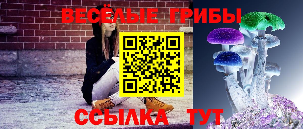 Учалы  Галлюциногенные грибы Psilocybine cubensis  Вход с VPN 